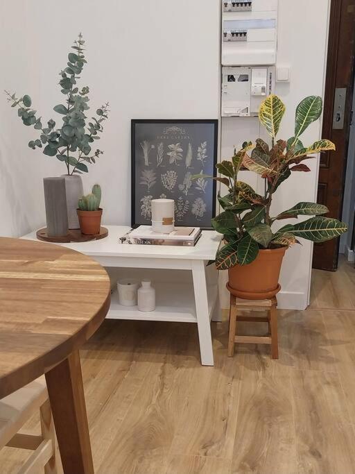ליון Appartement Place Des Terreaux מראה חיצוני תמונה